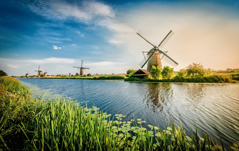Аграрный тур в Нидерланды